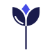 https://tasarim4.democicekci.com/yuklemeler//flower.png